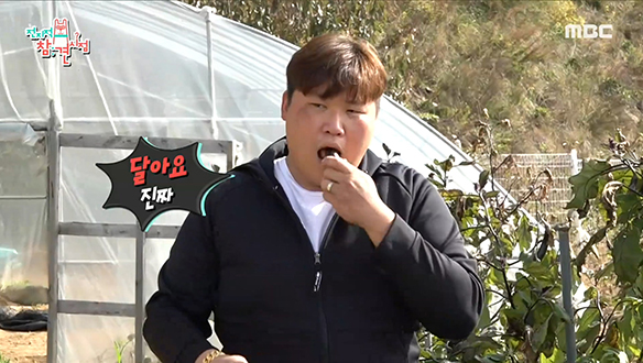 제이쓴네 가족 농장에서 펼쳐진 유기농 먹방 대결♨ 클립 이미지