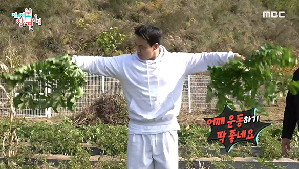 밭에서 무 뽑다가 운동신경 뽐내는 매뚱X천뚱 클립 이미지