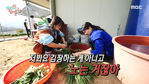 김장 준비하며 대동단결하는 홍쓴 패밀리! 클립 이미지