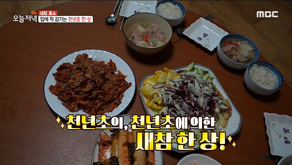 알록달록 눈이 즐거운 '천년초' 한 상! 클립 이미지