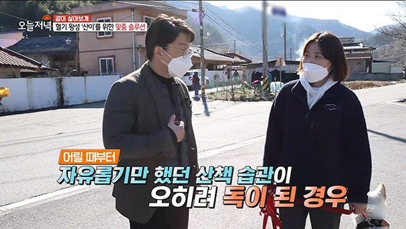 혈기 왕성 끝판왕! 반려견 '산이'를 위한 맞춤 솔루션! 클립 이미지