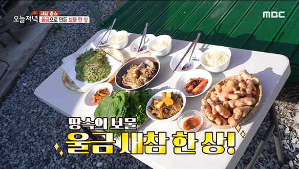 건강한 황금빛으로 물든 '울금' 새참 한 상!