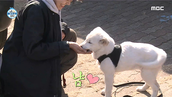 집 잘 지킨 하루키(개)에게 주어지는 간식 포상! 클립 이미지