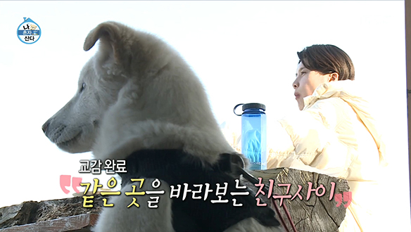 집순이 장도연과 하루키(개)의 제주도 올레길 산책 (feat.낮맥) 클립 이미지