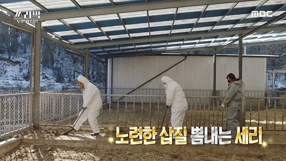 골프채 대신 삽을 든 박세리, 알고 보니 농장 일이 체질?! 클립 이미지