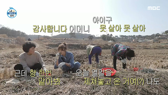 논두렁에서 즐기는 엄마와 딸의 냉이 데이트~! 클립 이미지