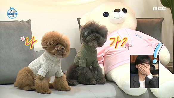 찰칵☆ 찰칵★ 꼼데 X 가르송 데일리 룩 촬영 현장! 클립 이미지