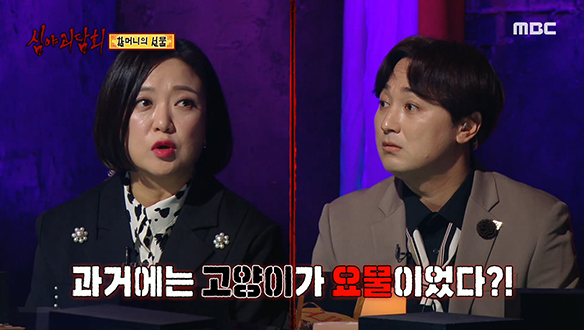 과거에는 고양이가 왜 요물로 여겨졌을까? 클립 이미지