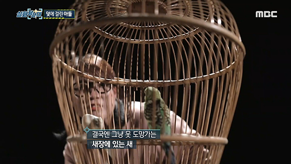 아들을 노린 여자, 덫에 걸린 아들 클립 이미지