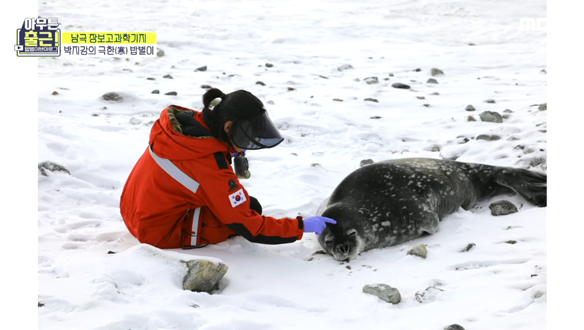 펭귄과 물범을 향한 박지강 연구원의 사랑💖 클립 이미지