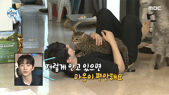 2PM 준호의 우리집 고양이! 쟈니X월이X쿠키X복이