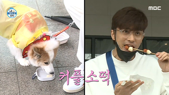 '개'캉스도 식후경! 양희와 성훈의 소떡소떡 먹방!