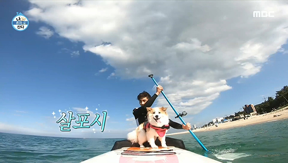 '개'캉스 하이라이트! 성훈과 양희의 패들보드 도전!