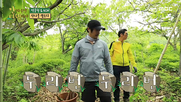 빽빽한 대나무 숲에서 죽순 된장찌개를 위한 죽순 채집 시작! 클립 이미지