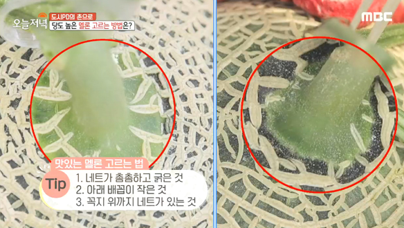 맛있는 멜론 고르는 법 & 멜론 예쁘게 담기 TIP! 클립 이미지