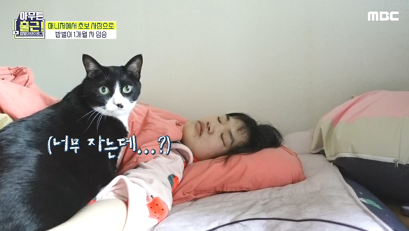 아침에 일어나기 싫은 건 누구나 똑같잖아요😂 초보 사장의 출근! 클립 이미지