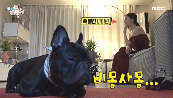 새벽에 눈 호강 제대로 한 모델 아이린의 명품 패션쇼 관람기 (feat. 최소라) 클립 이미지