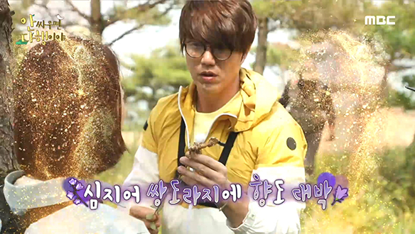 쌍도라지 봤다!! 찰떡 호흡으로 도라지 캐는 삼남매 클립 이미지