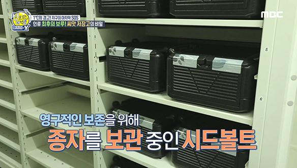 인류 최후의 보루! 씨앗 저장고의 비밀