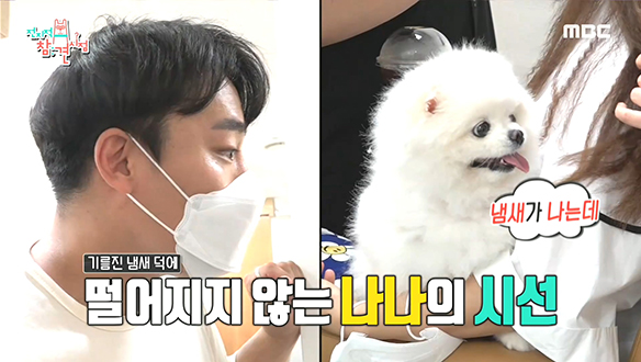 홍현희가 빠진 만큼 살크업중인 매니저의 시크릿 만찬! 클립 이미지