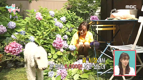 도심 속 수국 정원을 품은 배우 엄지원의 집♧ 클립 이미지