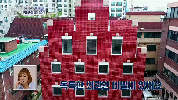 <서울시 마포구 망원동 빨간 타일 주택> 새-빨간 타일의 주택