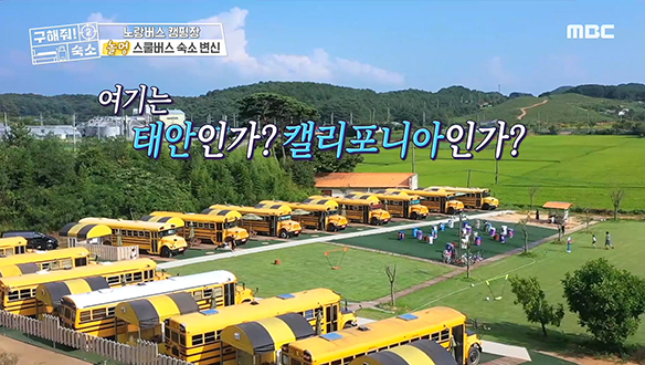 <노랑버스 캠핑장> 영화에서나 보던 노란 스쿨버스가 태안에 있다?! 클립 이미지