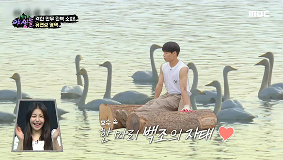 거친 야생 속 우아함이 살아있는 백조돌 1호