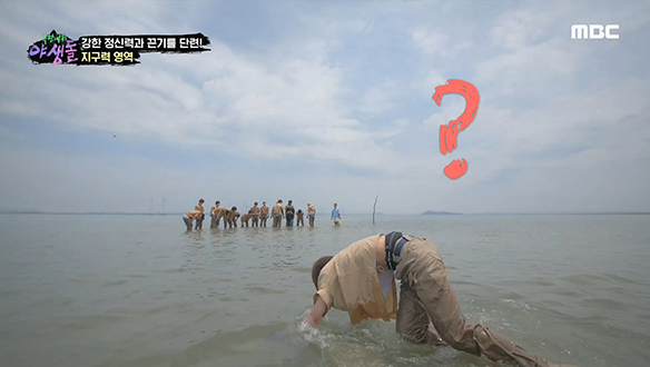 베어 크롤 1등을 노려라! 엄청난 속도(?)로 돌격하는 야생돌