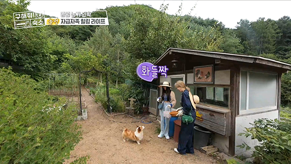 <영월 농가 민박> 해발 450m 원시림뷰를 자랑하는 산속에서 리틀 포레스트♤