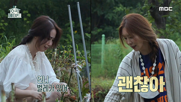 반려견 두 마리와 함께하는 김 자매의 시골 스테이 여행! 클립 이미지