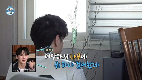 배우 남윤수의 반려 식물 '남라봉'에게 그동안 무슨 일이...? 클립 이미지