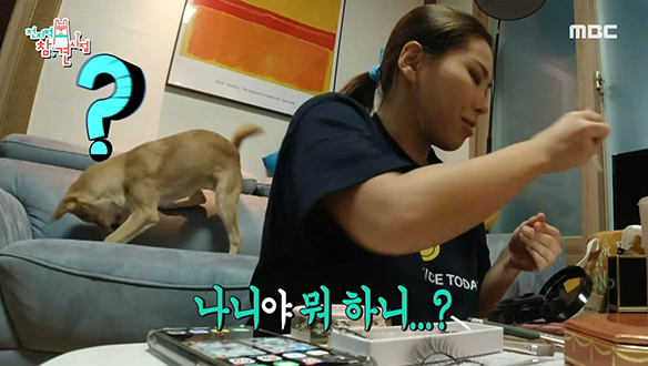 개껌을 탈환하기 위한 나니의 눈물겨운 몸짓! 클립 이미지