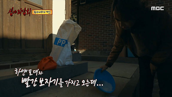 왕소나무의 여인 ③ 엄마가 가져온 하얀 포대와 빨간 보자기