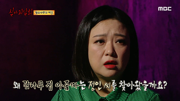 왕소나무의 여인 ④ 감나무 집 아줌마가 밤마다 찾아온 이유는?