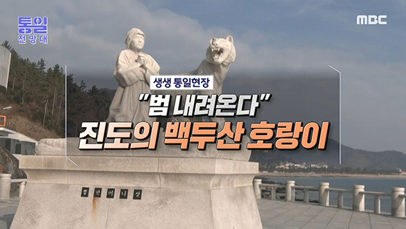 [2022-01-29 991회] "범 내려온다" 진도의 백두산 호랑이