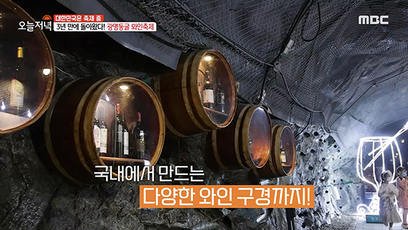 3년 만에 돌아왔다! 각양각색의 와인을 체험할 수 있는 '광명 동굴 와인 축제'
