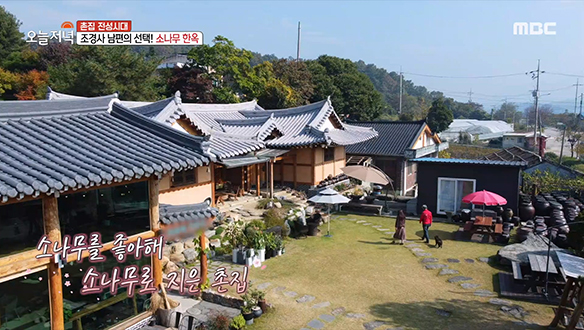 고생한 아내를 위한 조경사 남편의 선택! 한 폭의 동양화 같은 '소나무 한옥'