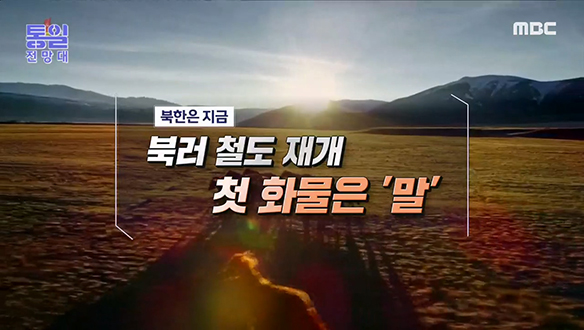 [2022-11-05 1029회] 북러 철도 재개 첫 화물은 ‘말‘ 클립 이미지