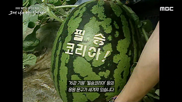 우리의 꿈은 16강! 2002년 월드컵을 고대하던 국민들의 바람 클립 이미지