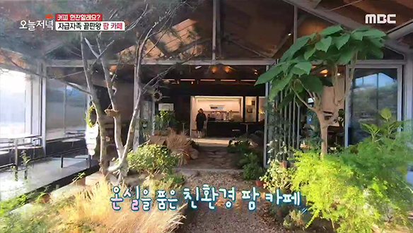 비닐하우스의 大 변신! 청년 농부들의 '친환경 팜 카페'  클립 이미지