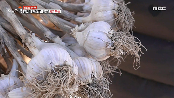 알싸한 맛과 향이 일품인 김장 필수 재료! '의성 마늘' 클립 이미지