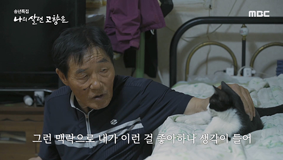 12마리의 길 고양이들과 함께 살아가는 엄택규 할아버지