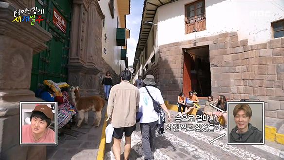 쿠스코 탐방 중인 기안84 눈엔 알파카만 보인단 말이야~♪