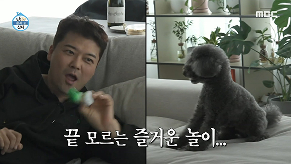 샤이니 키의 반려견 꼼데&가르송 일일 돌보미로 나선 전현무! 클립 이미지