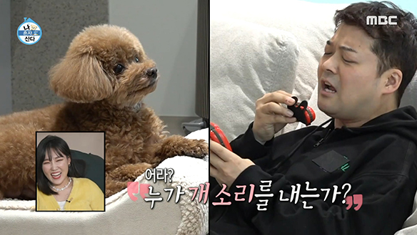 강아지말 번역기로 대화 시도하는 전현무, 인간 시츄가 되다? 클립 이미지