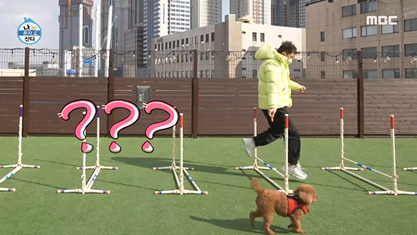 유기견 보소호에 간 전현무와 꼼데&가르송, 친해질 수 있을까? 클립 이미지