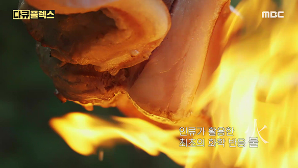 인류 진화의 핵심 화식(火食) 클립 이미지