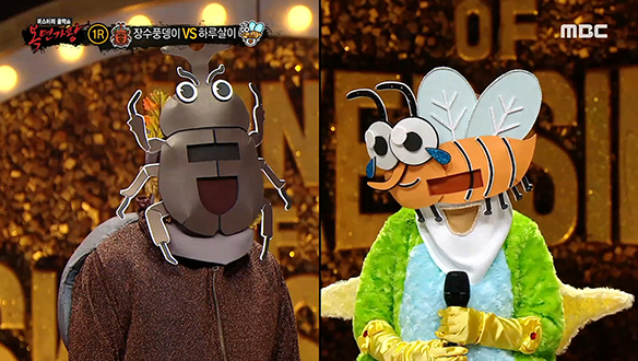 씩씩 튼튼 '장수풍뎅이' VS 꼬마 요정 '하루살이' <집시 여인> 클립 이미지