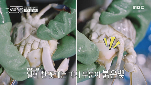 좋은 꽃게 고르는 방법! 그리고 꽃게 알의 진짜 정체?! 클립 이미지